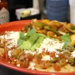 {{brizy_dc_image_alt imageSrc=