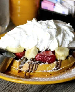 {{brizy_dc_image_alt imageSrc=